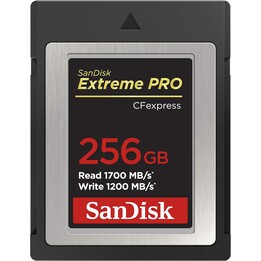 SanDisk CFexpress 256GB SDCFE-256G-GN4NN - Alta velocidade