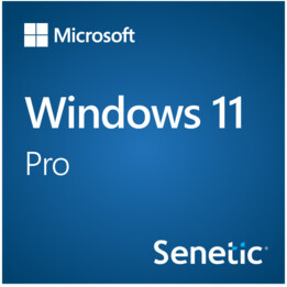 Windows 11 Pro 64 bits anglais international 1 pack DSP OEI DVD