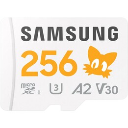 256 GB Samsung Sonic Micro Card avec adaptateur