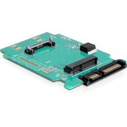 Convertitore DELOCK SATA 22 pin - mSATA 2.5 Platino