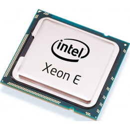 INTEL Xeon E-2378 2,6 GHz LGA 1200 16M Cache Tray CPU