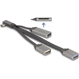 DELOCK 2 Port USB Hub inklusive SD und Micro SD Kartenleser mit USB Type-C Anschluss