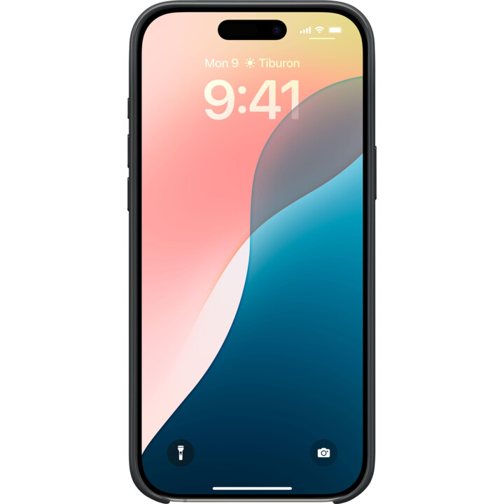 BEATS IPHONE 16 PRO MAX CASE
