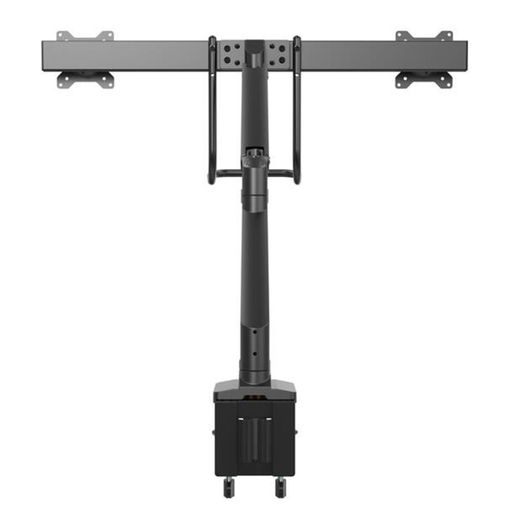 Support d écran StarTech.com ARMSLMBARDUO 81,3 cm (32 pouces) Noir