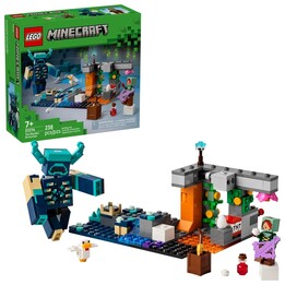 LEGO MINECRAFT 21274 Incontro con il regista