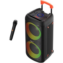 PartySpeakerwlm - haut-parleur sans fil 40W avec microphone sans fil