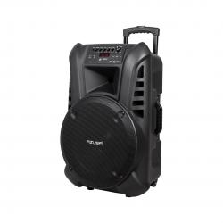 Active loudspeaker (with 2 wireless microphones, SD, Bluetooth, USB) 15&quot; 120W