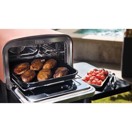 Ninja OO101DE horno de exterior