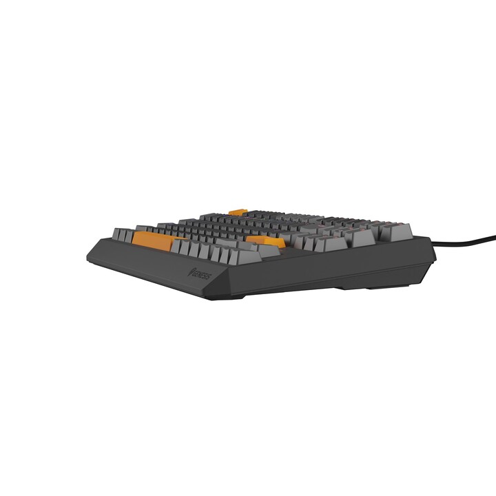 GENESIS Thor 230 TKL Gaming Keyboard USB + RF Wireless + Bluetooth QWERTY Black, Grey, Orange