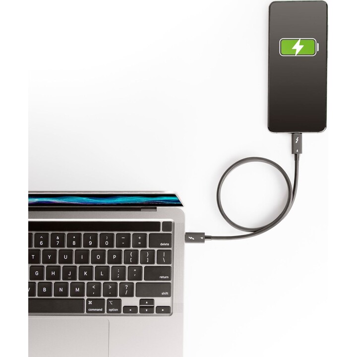 StarTech.com TBLT4MM50CM cabo Thunderbolt 0,5 m 40 Gbit/s Preto