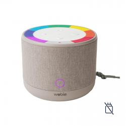Altavoz de transmisión Wobie Box, gris