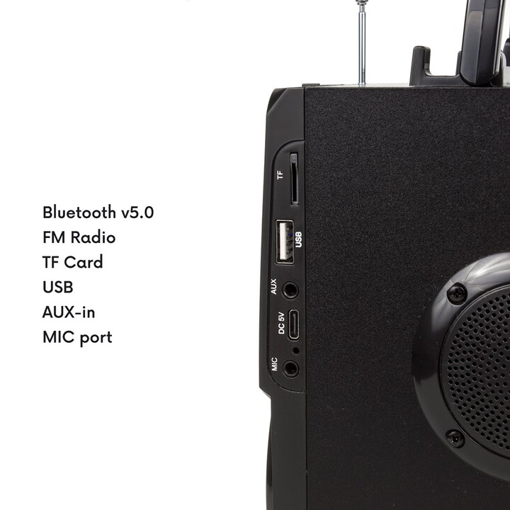 Audiocore AC730 Portable Bluetooth Speaker / Radio / SD / MMC / Aux-in / USB / Lighting / Remote Control / Antenna t