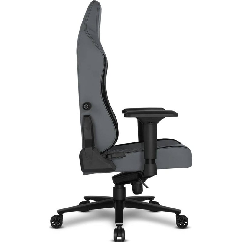 Alpha Gamer Alegra Gris