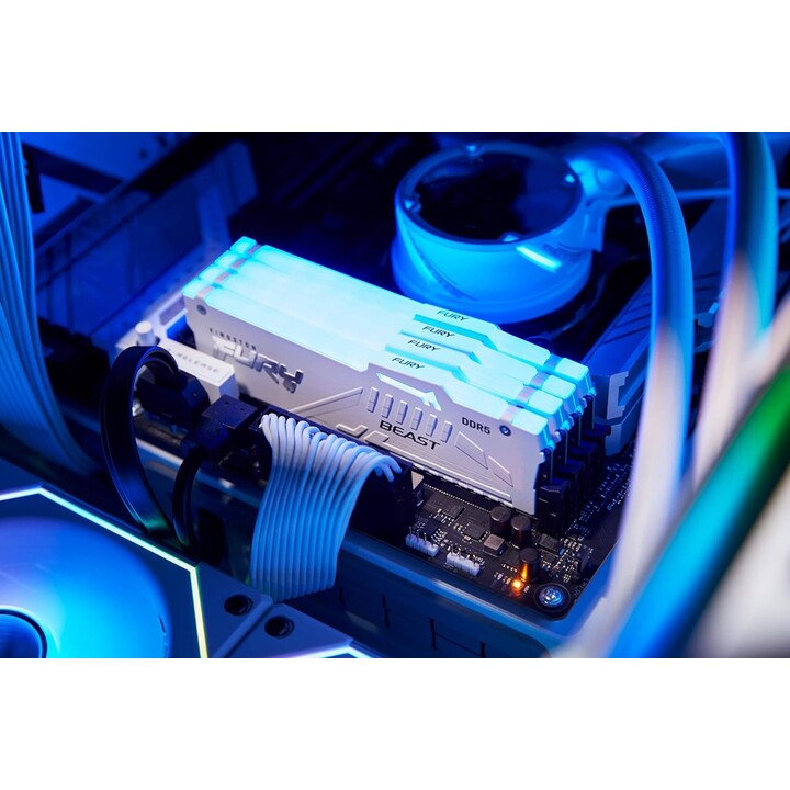 Kingston Technology Fury Beast RGB-Speichermodul 16GB 1 x 16GB Ddr5 Ecc