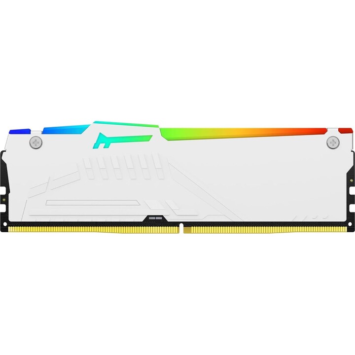 Kingston Technology Fury Beast RGB-Speichermodul 16GB 1 x 16GB Ddr5 Ecc