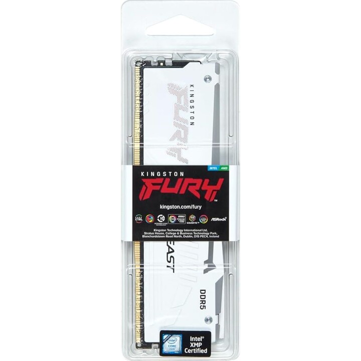 Kingston Technology Fury Beast RGB-Speichermodul 16GB 1 x 16GB Ddr5 Ecc