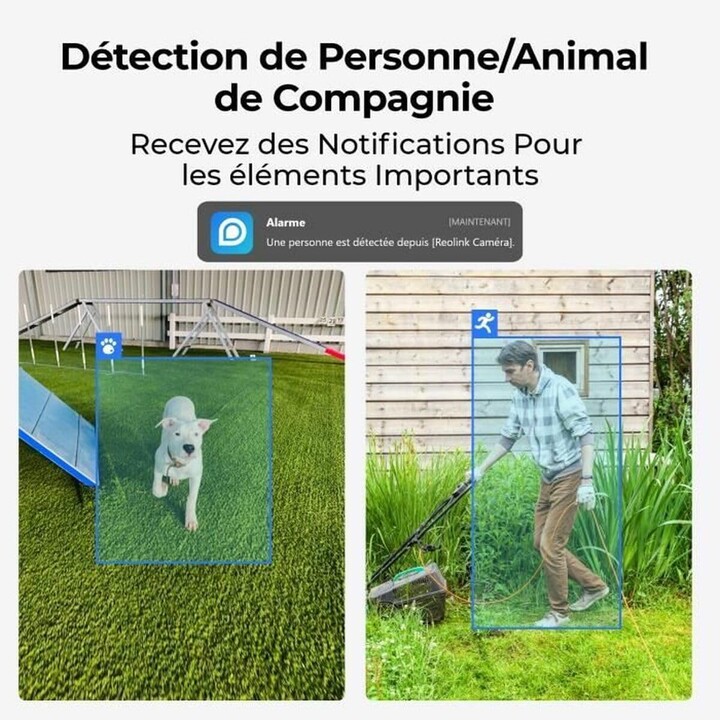 Cámara IP Reolink E330 de 5 MP con detección de llanto y wifi