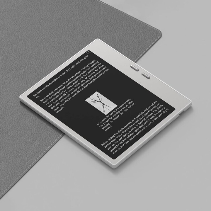 E-Book, BOOX Go 7, Play Store, Adatto per la scrittura, pulsanti per la svolta di pagina, 300 dpi, bianco