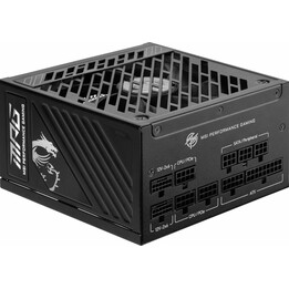Fuente de alimentación MSI MPG A1000GS 1000W 80+ Gold (306-7ZPFX11-CE0)