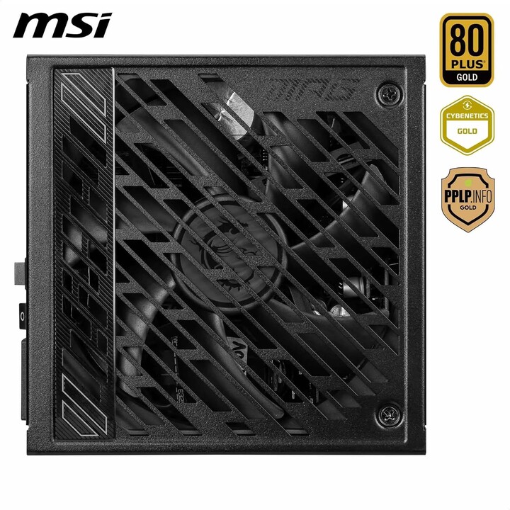 MSI MPG A1000GS 1000W 80+ Gold Power Supply (306-7ZPFX11-CE0)