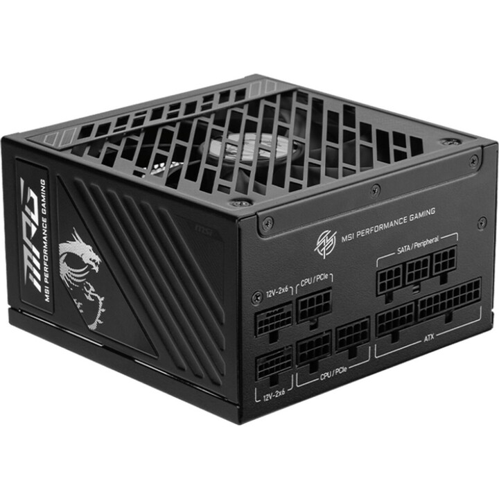 Fuente de alimentación MSI MPG A1250GS 1250W PCIE5 80+ Gold (306-7ZPFX11-CE0)