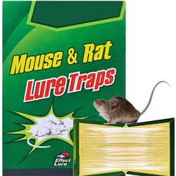 Extralink Mouse Trap, Mouse Trap, Rat Trap, Strong Glue Trap, Strong Sticky Paper, Scented, 50Pcs-1335
