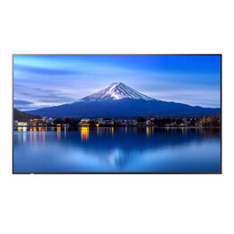 Sharp/NEC MultiSync P656 Kiosk Design 163.8 cm (64.5") LED 700 cd/m 4k Ultra HD Black Built-in Processor