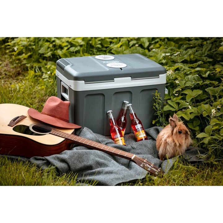 Camry CR 8061 45L Electric Cooler Gray White