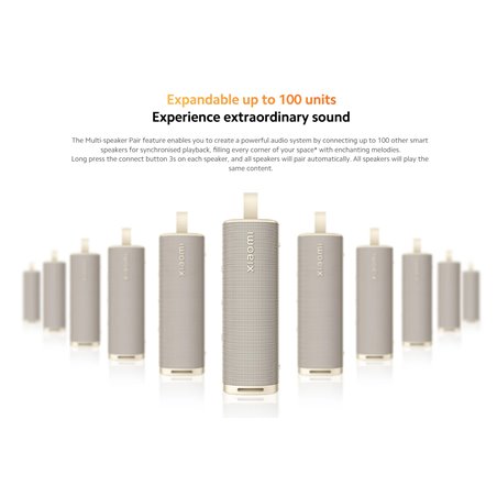 Xiaomi Sound Outdoor Oro QBH4370GL