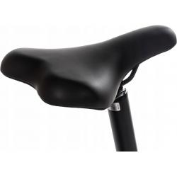 Bicicleta eléctrica plegable Snapp City-E Grafito