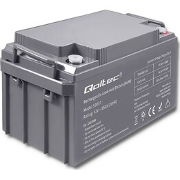 Qoltec 53037 Batterie AGM | 12V | 65Ah | max 780A
