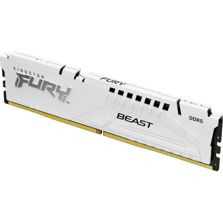 Kingston Technology Module de mémoire Fury Beast 32 Go 2 x 16 Go DDR5