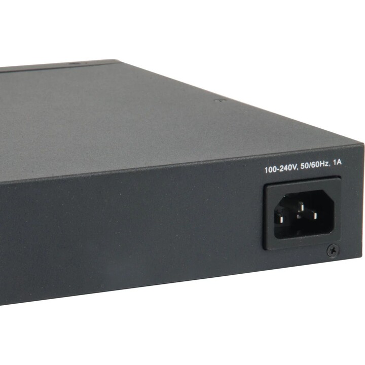 Switch 24x GE GTL-2661 2x10GSFP+19