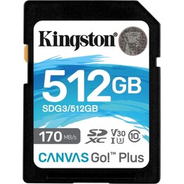 512gb sd canvas go plus 170r c10
