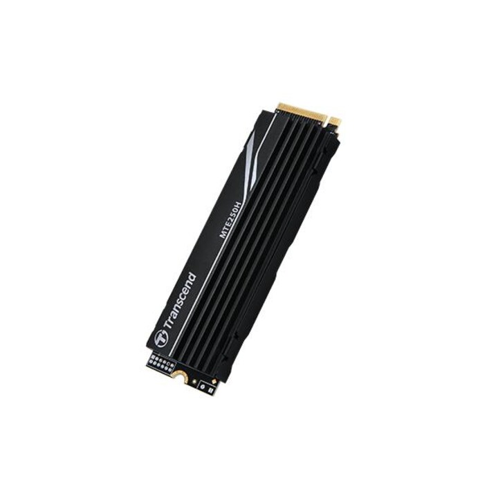 Transcend TS1TMTE250H MTE250H SSD, 1TB, M.2 2280, PCIe Gen4x4, NVMe, 3D TLC, DRAM, heatsink