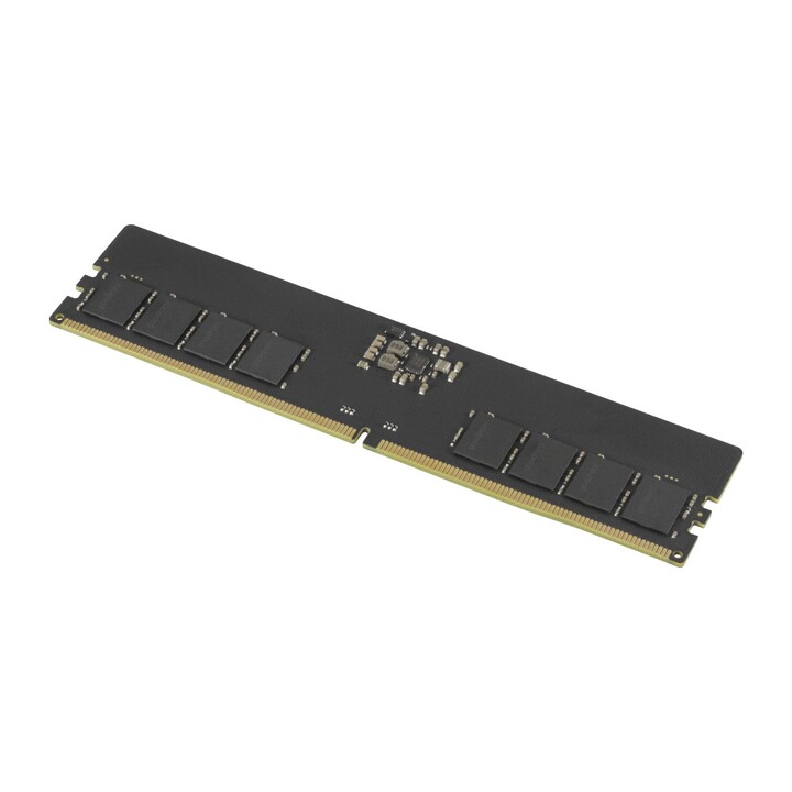 Modulo di memoria Goodram GR5600D564L46S/8G 8GB 1 x 8GB DDR5