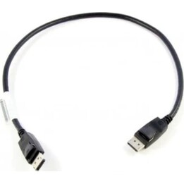 Lenovo 0,5 m DisplayPort 0,5 m Schwarz