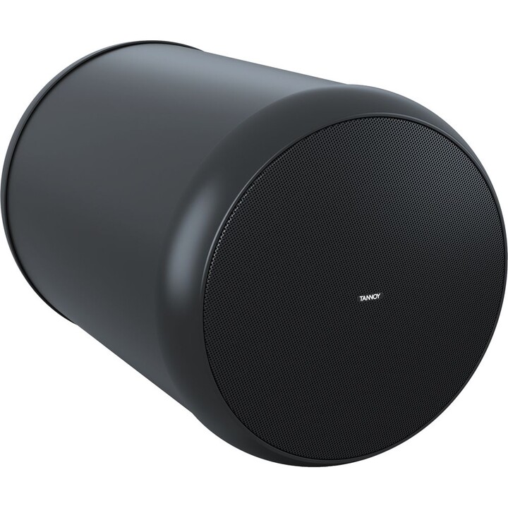 Tannoy OCV 6 6-Zoll koaxialer Hängelautsprecher für Installationen