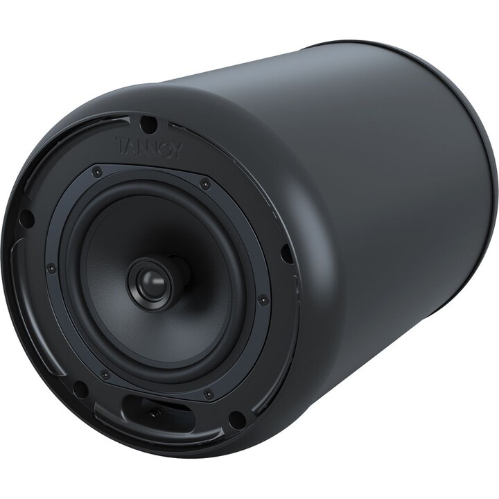 Tannoy OCV 6 6-inch coaxial hanging speaker for installation