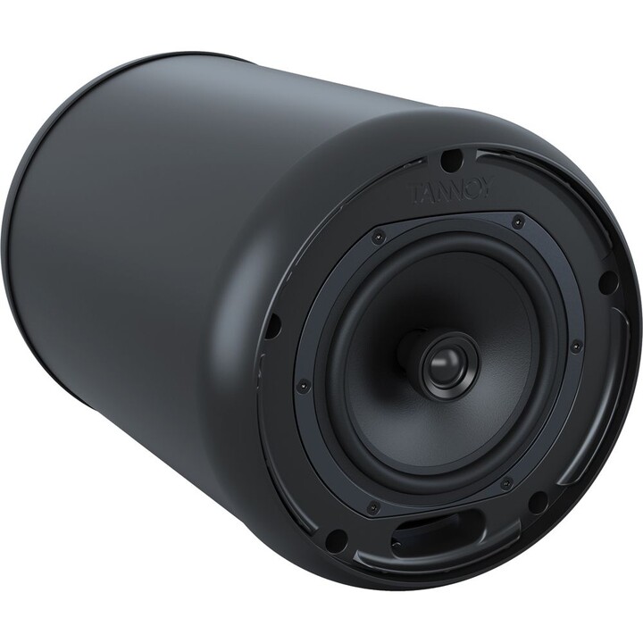 Tannoy OCV 6 6-inch coaxial hanging speaker for installation