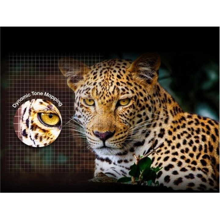 LG 50-Zoll 4K Ultra HD 3840 x 2160 Pixel Flachfernseher 16:9 50UA73003LA