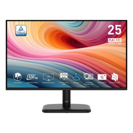 MSI PRO MP251LDE E2 - Écran (TFT/LCD) - 62,2 cm (24,5")