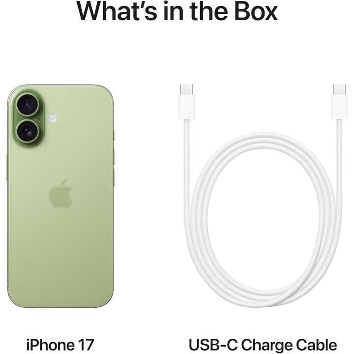 Apple iPhone 17 256GB, 5G mobile phone with Apple Intelligence, camera control, A19 chip, Green