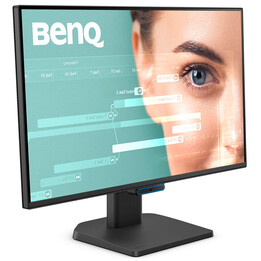 Moniteur PC BenQ GW2490C 60,5 cm (23,8") 1920 x 1080 pixels Noir