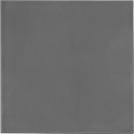 Thermal Grizzly Minus Pad extreme 2 almohadilla térmica gris 100 x 100 x 1,5 mm