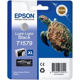 Epson C13T15794010 Matt-Photo Black Original
