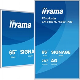 IIYAMA Prolite 65 pollici - Display 4K Uhd - 3840X2160