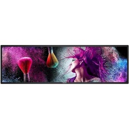 Philips 37BDL3050S/00 37" Stretch 24/7 700 CD USB HDMI Ingresso/Uscita