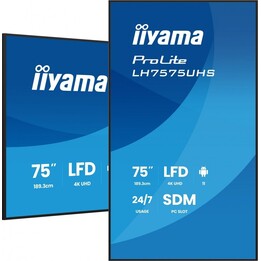 Pantalla IIYAMA Prolite de 75 pulgadas, 4K Ultra HD, IPS, funcionamiento 24/7, Android, 3840 x 2160