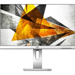 AOC Pro-line X24P1/GR 24" LED IPS WUXGA Monitor, Silver